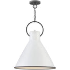 Hinkley Lighting - Winnie 18-Inch Pendant - 3555PT - Canada Light Shop