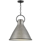 Hinkley Lighting - Winnie 18-Inch Pendant - 3555RP - Canada Light Shop