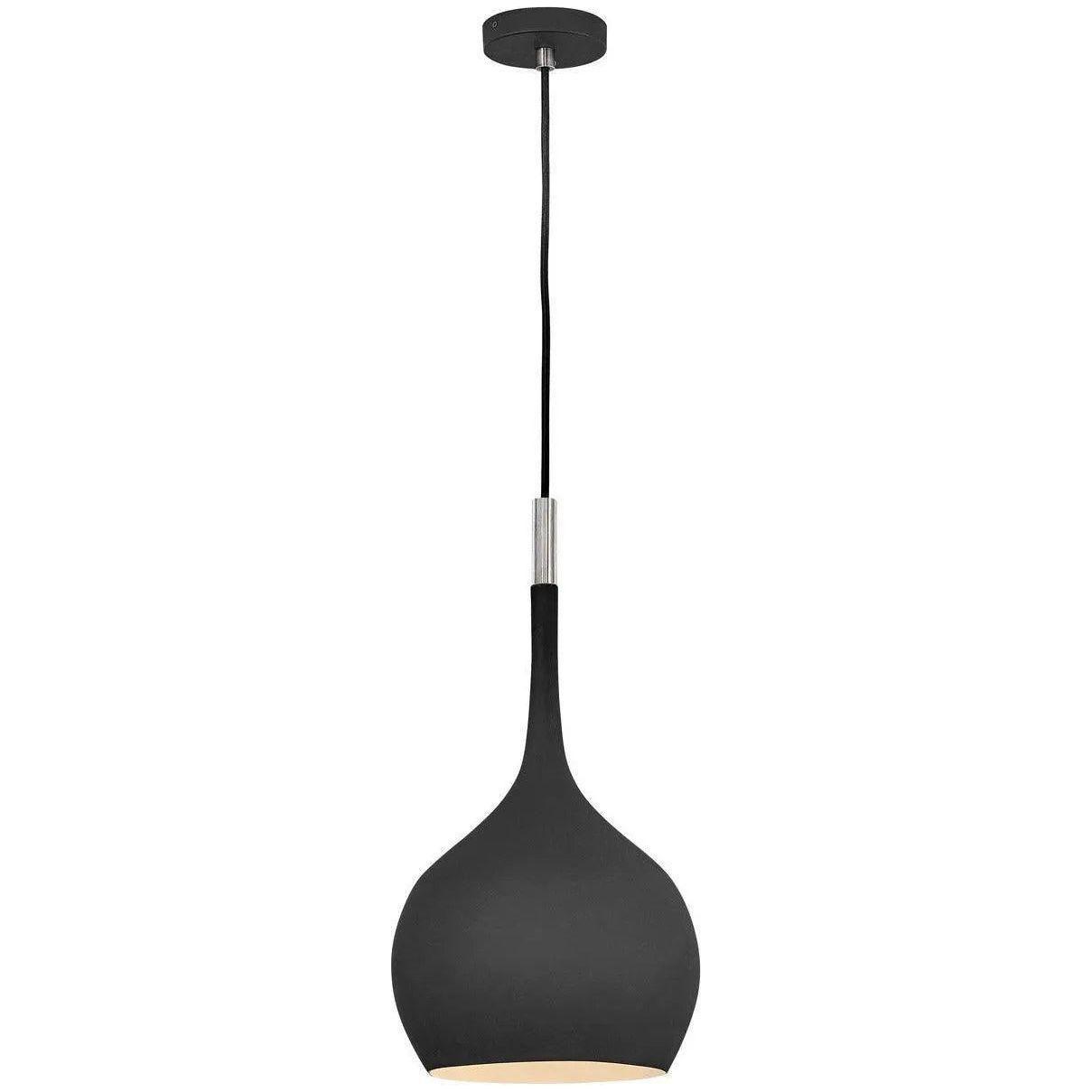 Hinkley Lighting - Ziggy 12-Inch Pendant - 4457BK - Canada Light Shop