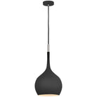 Hinkley Lighting - Ziggy 12-Inch Pendant - 4457BK - Canada Light Shop