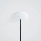 Hollis+Morris - Constellation Pendant - CONSPENDANT-OKB-BLK - Canada Light Shop