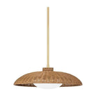 Hudson Valley Lighting - Delano Pendant - 1923-VGL - Canada Light Shop