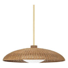 Hudson Valley Lighting - Delano Pendant - 1933-VGL - Canada Light Shop