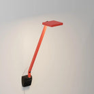 Koncept - Focaccia Solo LED Desk Lamp - FCD-1-MFR-WAL - Canada Light Shop