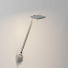 Koncept - Focaccia Solo LED Desk Lamp - FCD-1-SIL-WAL - Canada Light Shop