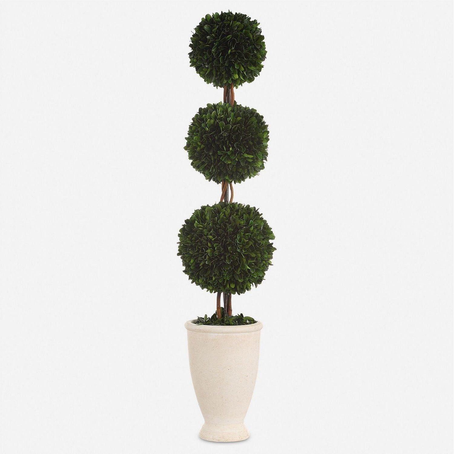 The Uttermost - Preserved Boxwood Triple Topiary - 60223 - Canada Light Shop