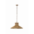 Troy Lighting Canada - F4926-PBR - One Light Pendant - Raphael - Patina Brass