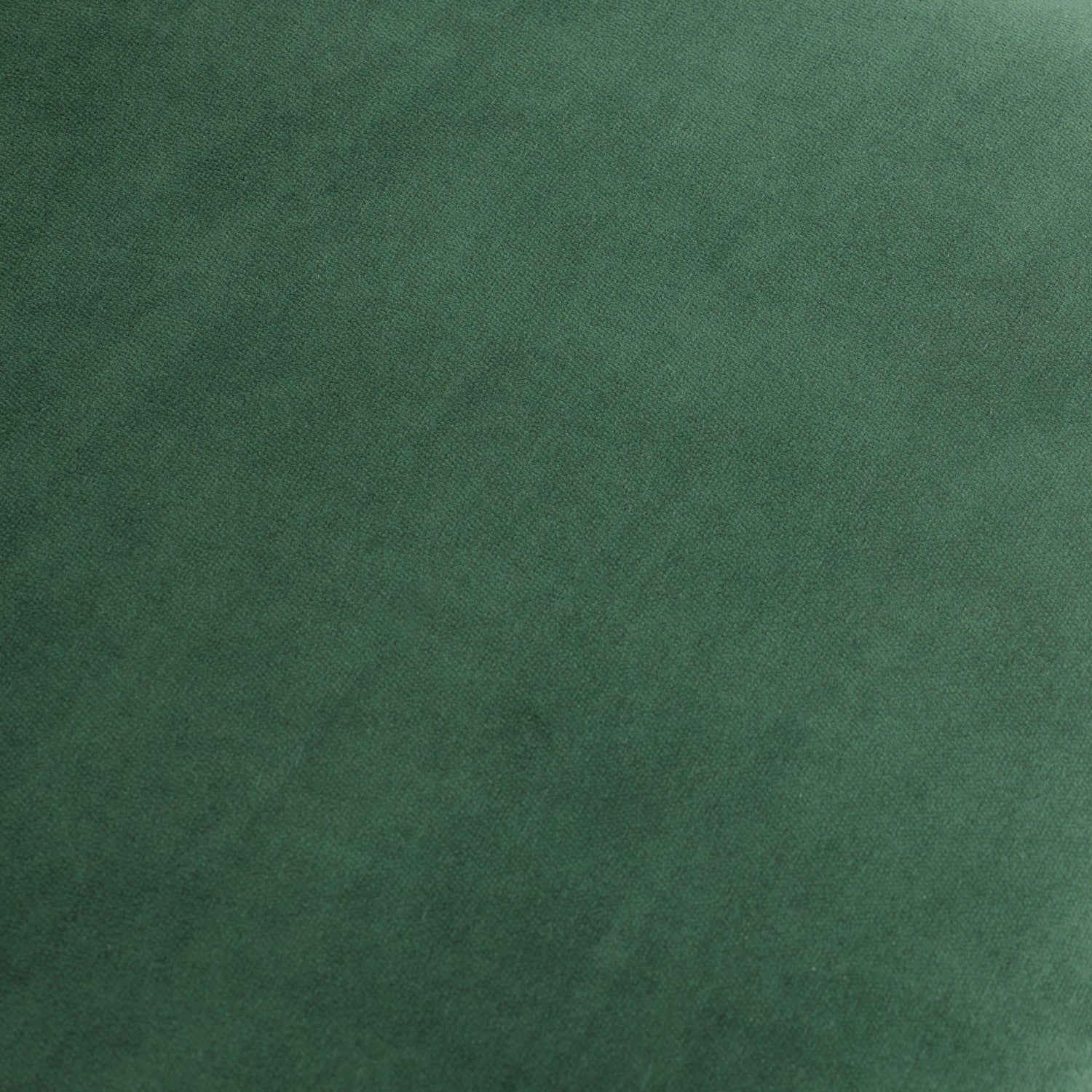 Arteriors - FRU11 - Chair - Poppy - Forest