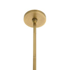 Arteriors DPS09 Swami Pendant in Natural and Black/Antique Brass