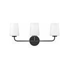 Lark - Kline Vanity - 853453BK - Canada Light Shop