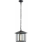 Matteo Lighting - Caldwell Outdoor Pendant - C81201MB - Canada Light Shop