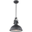 Matteo Lighting - Cresswell Series Pendant - C53802MB - Canada Light Shop