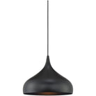 Meridian Lite Trends - Meridian One Light Mini Pendant - M70075MBK - Canada Light Shop