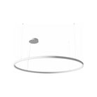 Nemo Lighting - Zirkol C 2m Suspension Light - UZRC1620G15DBO - Canada Light Shop