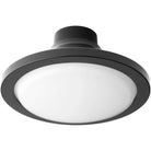 Oxygen Lighting - Juno Ceiling Fan Light Kit Only - 3-9-109-15 - Canada Light Shop