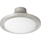 Oxygen Lighting - Juno Ceiling Fan Light Kit Only - 3-9-109-24 - Canada Light Shop