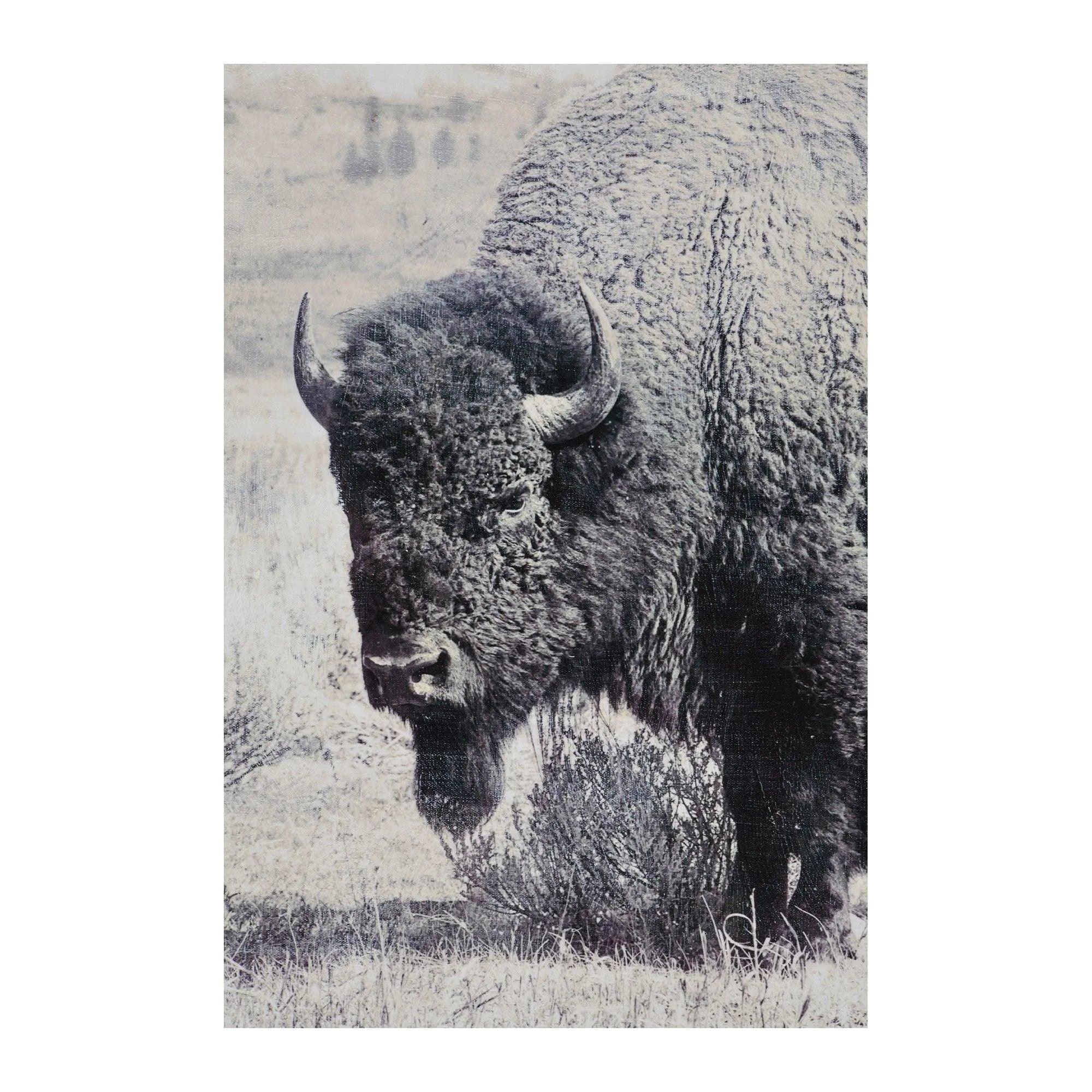 Renwil - North Range Canvas - OL1485 - Canada Light Shop