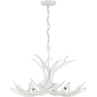 Savoy House - Daniels Chandelier - 1-1761-6-80 - Canada Light Shop
