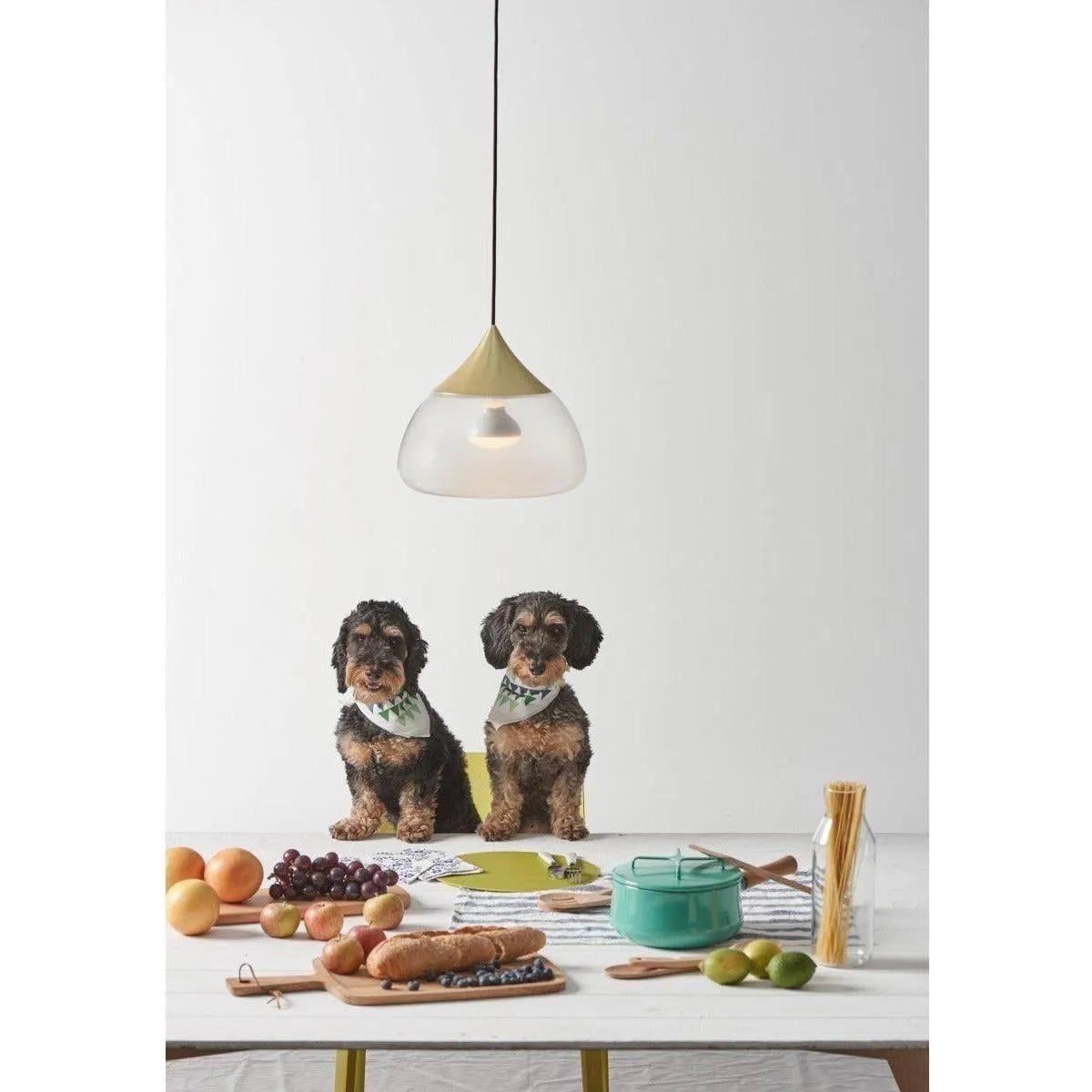 Seed Design - Mist Pendant Light - SQ-8997P-CRM - Canada Light Shop