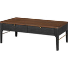 Surya - Anello Coffee Table - ALLO004-174824 - Canada Light Shop
