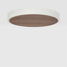 Tala - Large Canopy - CP-WALT-LRG-01-US - Canada Light Shop
