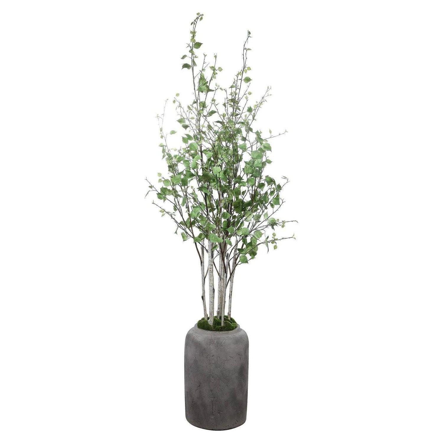 The Uttermost - Aldis River Birch - 60146 - Canada Light Shop