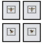 The Uttermost - Anthophila FramedPrints - 41428 - Canada Light Shop