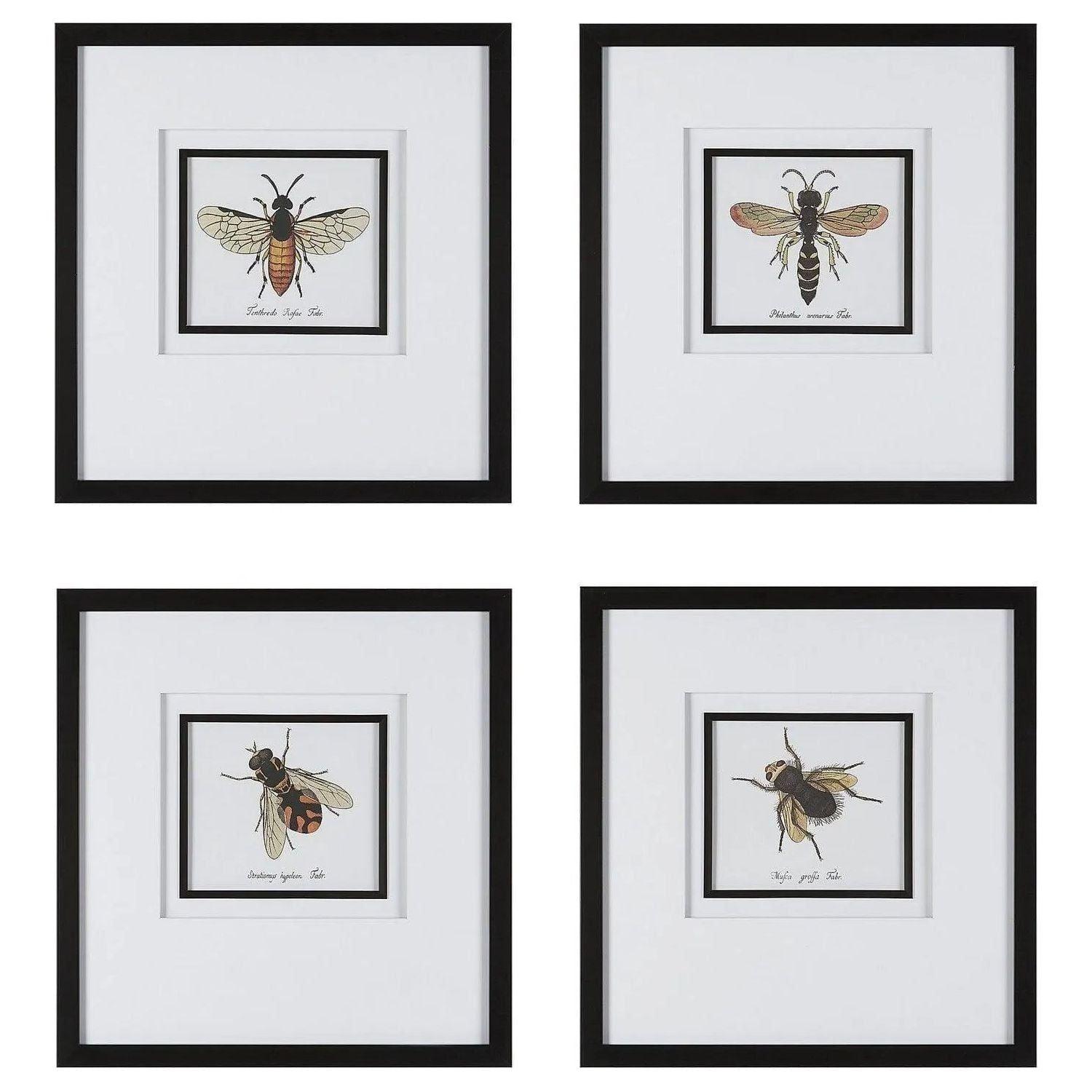 The Uttermost - Anthophila FramedPrints - 41428 - Canada Light Shop