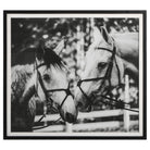 The Uttermost - Apple Of My Eye Framed Print - 41465 - Canada Light Shop