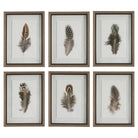 The Uttermost - Birds Of A Feather Framed Prints, S/6 - 41460 - Canada Light Shop