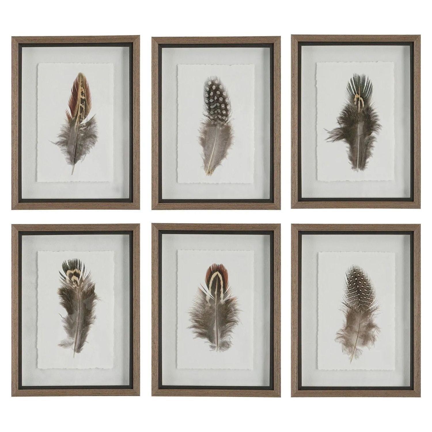 The Uttermost - Birds Of A Feather Framed Prints, S/6 - 41460 - Canada Light Shop