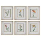 The Uttermost - Classic Botanicals Framed Prints Set/6 - 32284 - Canada Light Shop