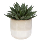 The Uttermost - Doha Succulent Accent - 60213 - Canada Light Shop