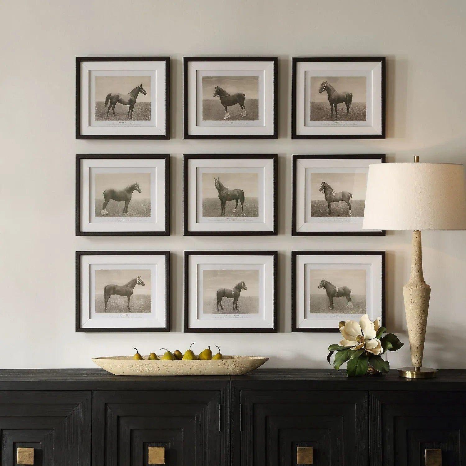 The Uttermost - Equine Dynasty Framed Prints, S/9 - 32343 - Canada Light Shop