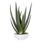 The Uttermost - Evarado Planter - 60177 - Canada Light Shop