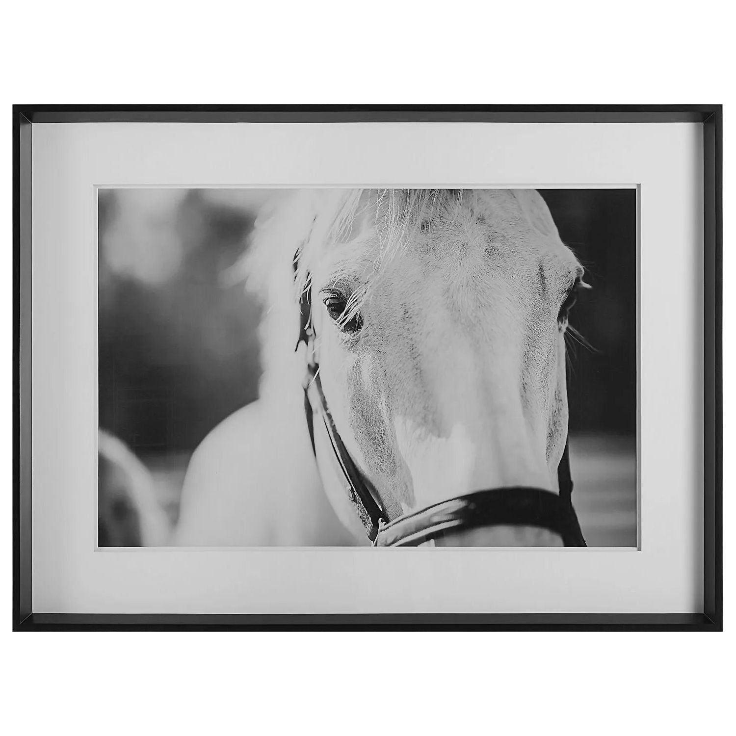 The Uttermost - Eyes On The Prize Framed Print - 41464 - Canada Light Shop