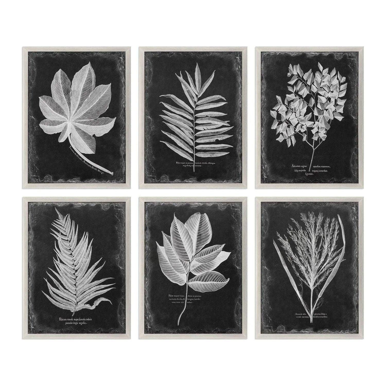 The Uttermost - Foliage Wall Art - 33671 - Canada Light Shop