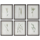 The Uttermost - Forest Finds Framed Prints, S/6 - 41459 - Canada Light Shop