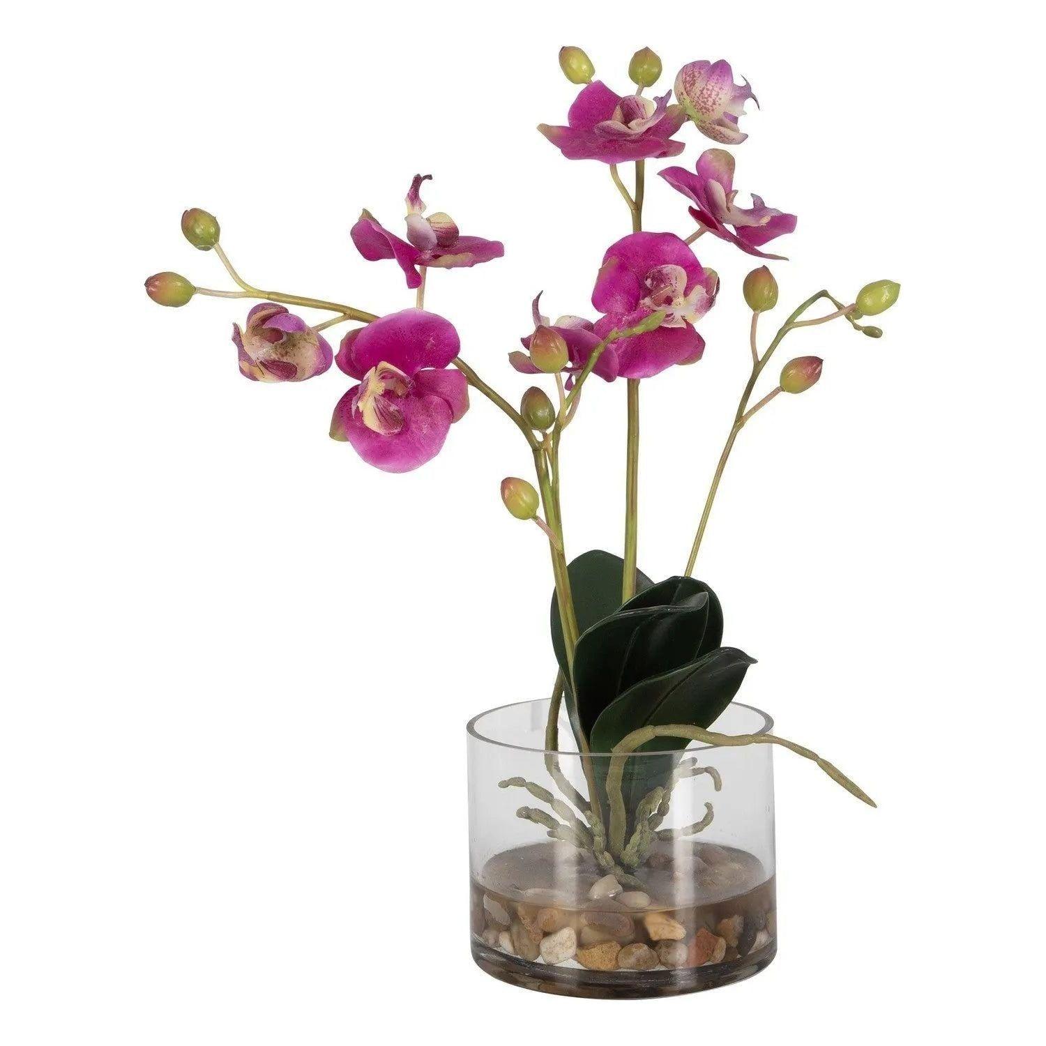 The Uttermost - Glory Orchid Orchid - 60220 - Canada Light Shop