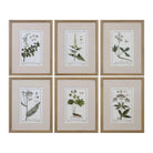 The Uttermost - Green Floral Botanical Study Wall Art - 33651 - Canada Light Shop