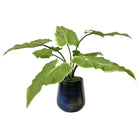 The Uttermost - Mari Calla Accent Plant - 60179 - Canada Light Shop