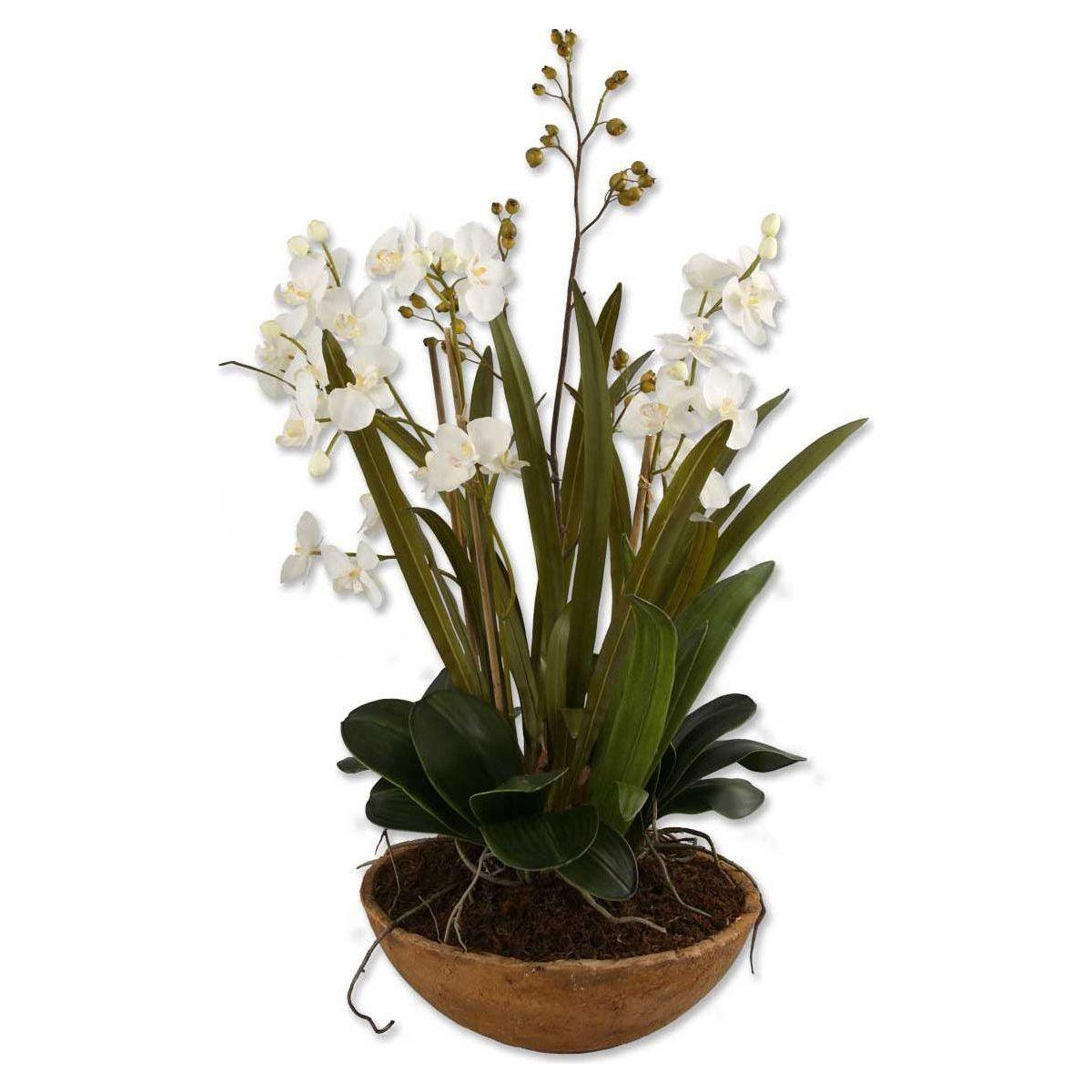 The Uttermost - Moth Orchid Planter - 60039 - Canada Light Shop