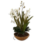 The Uttermost - Moth Orchid Planter - 60039 - Canada Light Shop