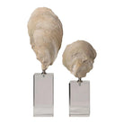 The Uttermost - Oyster Sculpture, Set/2 - 17523 - Canada Light Shop