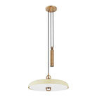 Troy Lighting - Plummet LED Pendant - F1618-PBR/SSD - Canada Light Shop